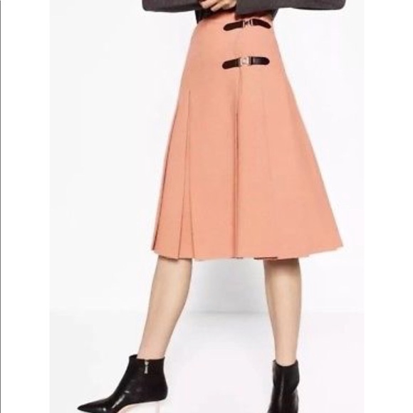 NWT Zara Pink Accordion Box Pleated Midi Skirt - Picture 2 of 8